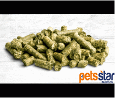 Bunny Nature Allgäu FreshGreen Snack With Dandelion Bunny Nature Allgäu FreshGreen Snack With Dandelion